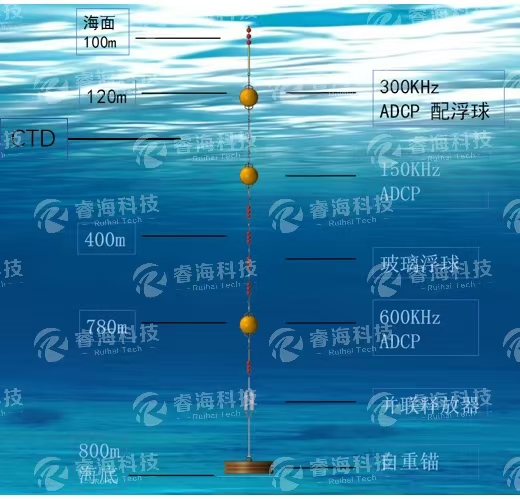 微信圖片_20250225170430 微信圖片_20250225170430